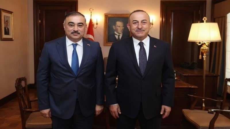 Mövlud Çavuşoğlu Azərbaycanın Türkiyədəki səfiri Rəşad Məmmədovla görüşdü