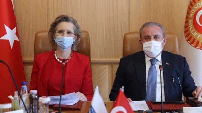 "Azərbaycan-Ermənistan arasındakı normallaşma mərhələsi inkişaf etməlidir"