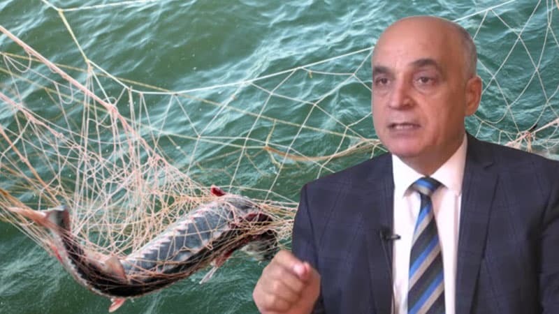 “Hanı kürü, hanı balıqçılıq?..” - Ekspertdən deputatın sualına reaksiya