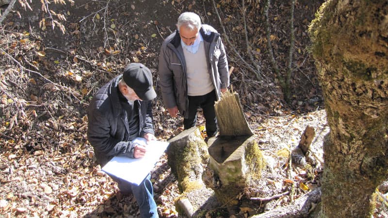 İsmayıllı meşələri necə məhv edilir? - Səlahiyyətli şəxslərin başı dərddə (FOTO/VİDEO)