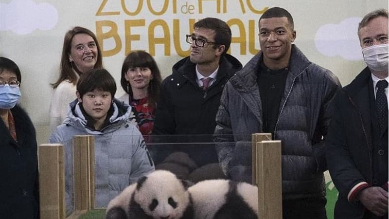 Mbappe pandanın xaç atası oldu (FOTOLAR)