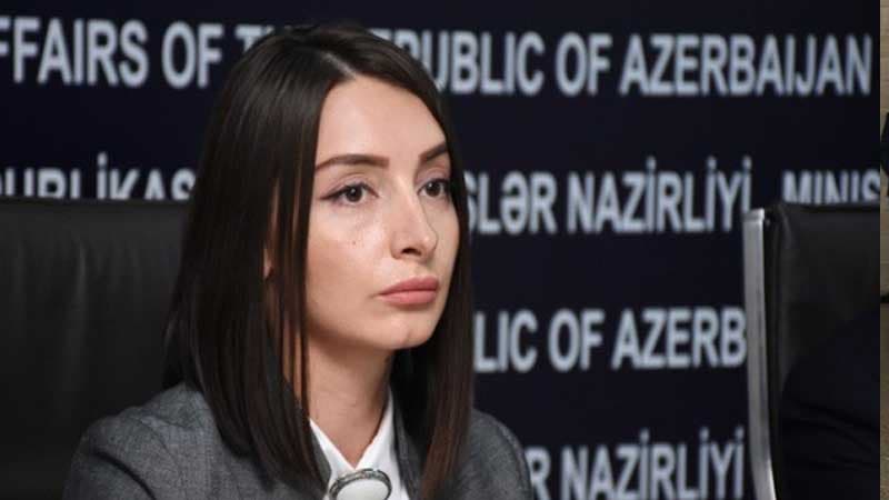 "Minalar 189 azərbaycanlının həyatına son qoyub” - Leyla Abdullayeva