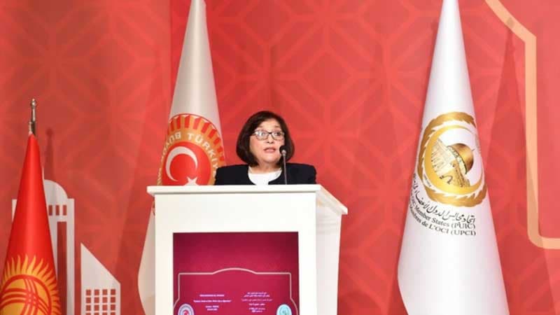 "Ermənistan öz öhdəliklərini pozmaqdan əl çəkməlidir" - Sahibə Qafarova