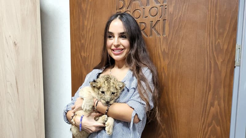 Bakı Zooparkında şir balası dünyaya gəlib