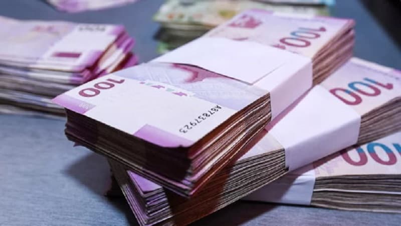 Bu il sosial ödəniş təyin olunan şəhid ailələri və qazilərin sayı açıqlandı