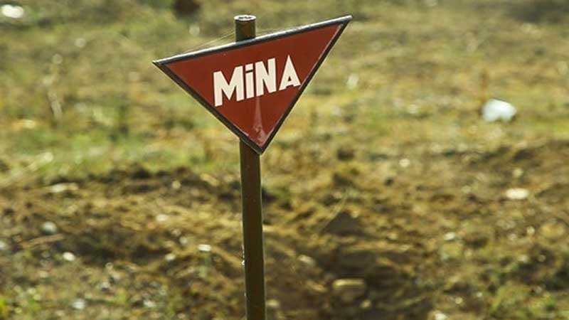 ANAMA minatəmizləmə ilə bağlı məlumat yaydı