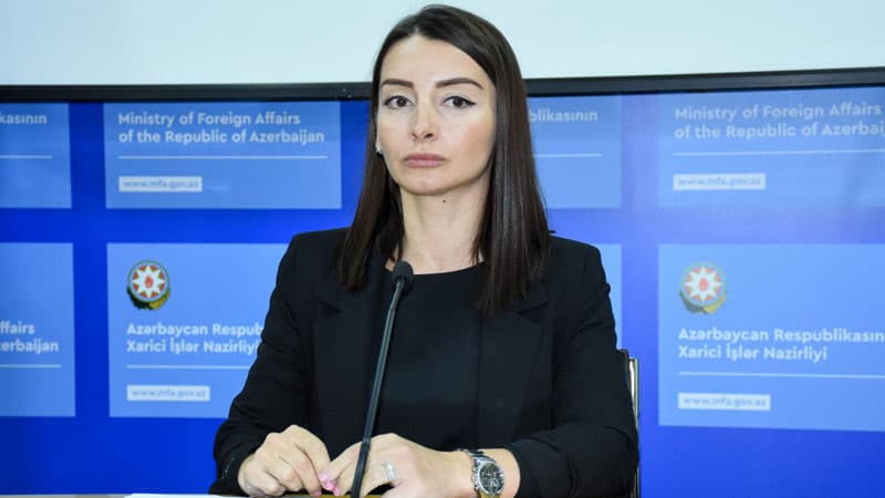 Leyla Abdullayeva Ermənistanın xarici işlər nazirinə cavab verdi