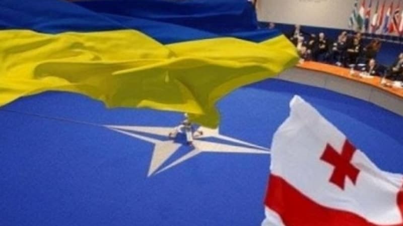 NATO-nun Kiyev və Tiflis “sevgisi” Azərbaycana ziyan verə bilər... (ŞƏRH)
