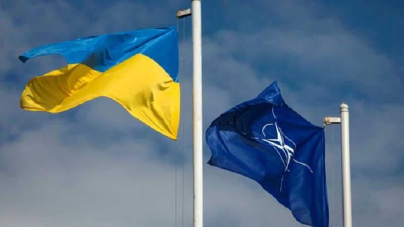Ukrayna NATO-dan yardım istədi