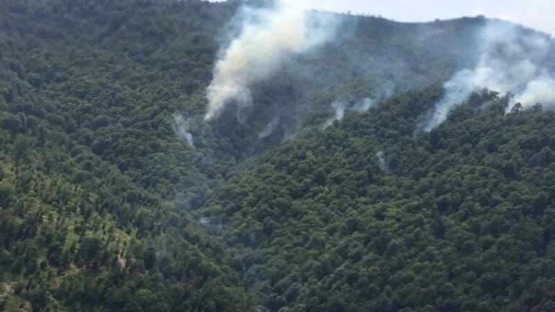 Dövlət Qoruğunda söndürülən yanğın yenidən alovlandı