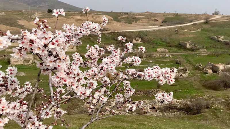 Britaniya səfiri Cəbrayıla səfər etdi (FOTO)