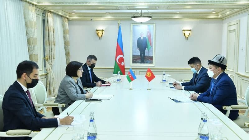 Sahibə Qafarova Qırğızıstan səfiri ilə görüşdü
