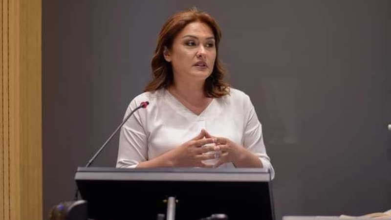 Günel Səfərova: "Ölkələrin Rusiyaya qarşı tətbiq etdiyi sanksiya Ermənistana ciddi iqtisadi zərbə vuracaq"