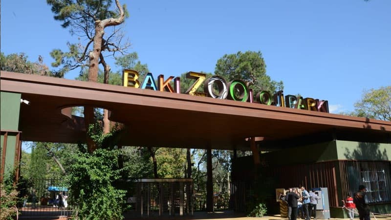 Bakı Zooparkı bayram günləri işləyəcək? (AÇIQLAMA)