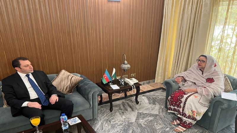 Xarici işlər nazirinin müavini Pakistanın müdafiə istehsalı naziri ilə görüşdü