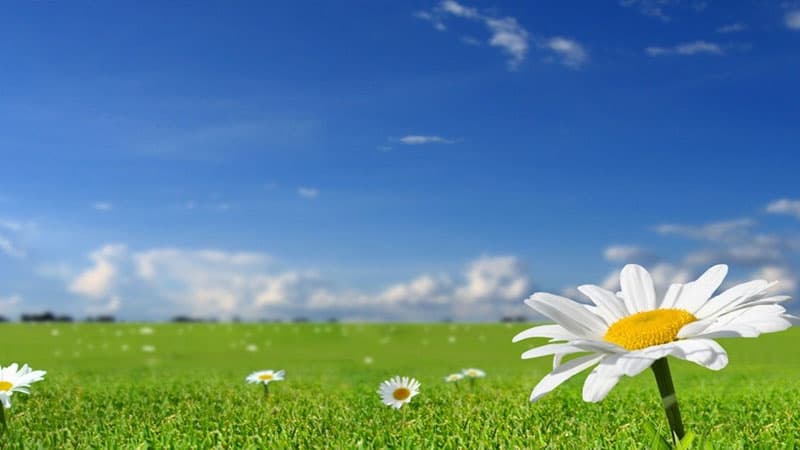 Aprel ayına olan hava proqnozu açıqlandı