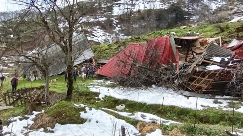 Lerikdə torpaq sürüşməsi: Kənd sakinin evi torpaq altında qaldı, rəhbrəlik əraziyə gəldi