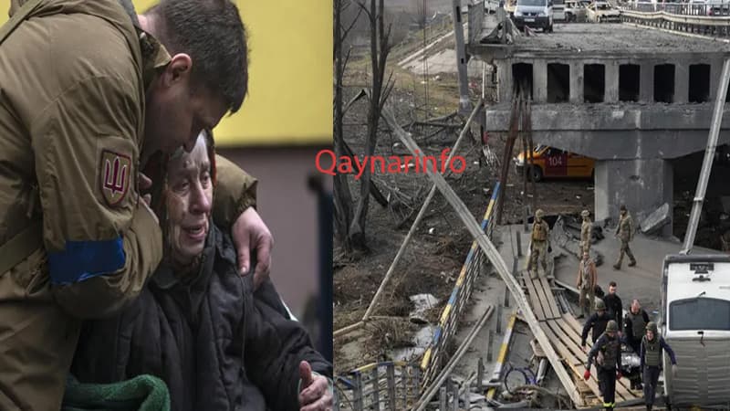 Müharibənin 38-ci günü: çarəsiz 82 yaşlı qadın, öldürülmüş vətəndaşın cəsədi...