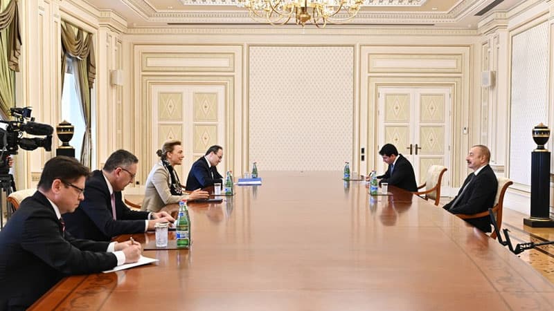 Prezident Avropa Şurasının Baş katibini qəbul edib (YENİLƏNİB)