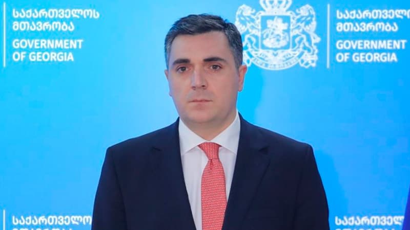 Gürcüstanın yeni xarici işlər naziri təyin olundu