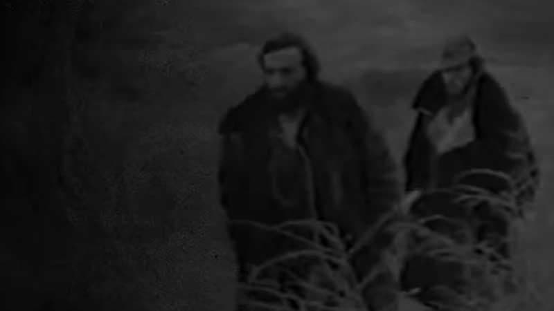 Miri Yusif Ukraynaya mahnı həsr etdi, səfir də paylaşdı (VİDEO)