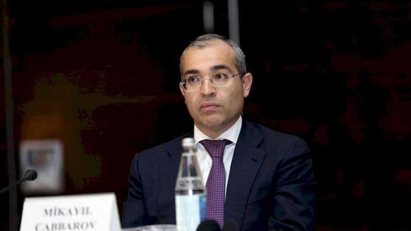 Mikayıl Cabbarov: “Azərbaycanda qənaətbəxş nəticələr əldə olunub”