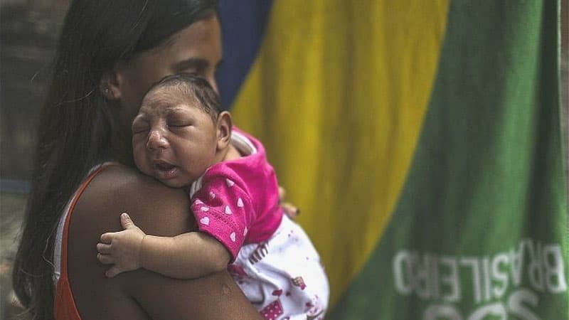 Zika virusu yenidən yayılmağın bir addımlığında – alimlər xəbərdarlıq etdi