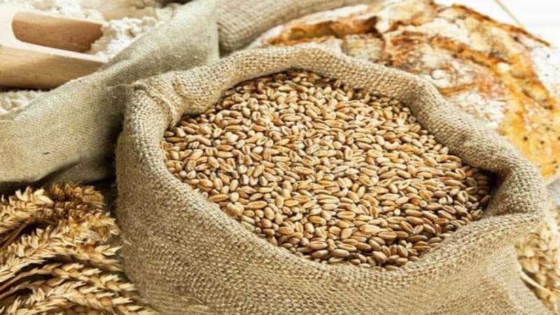 Yeni rüsumlar toxumun qiymətini bahalaşdıra bilərmi? - Ekspertdən açıqlama