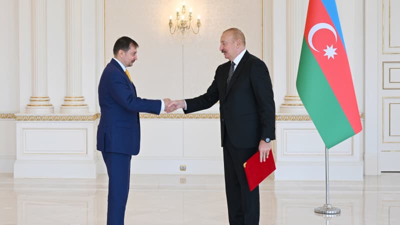 Prezident yeni təyin olunmuş rezident əlaqələndiricisini qəbul etdi (FOTO)