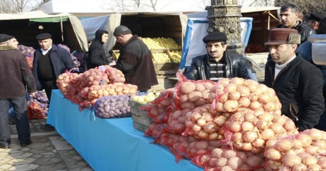 Müsəlmanların Avropaya kütləvi köçü
