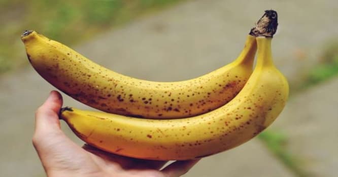 Bananın faydaları...