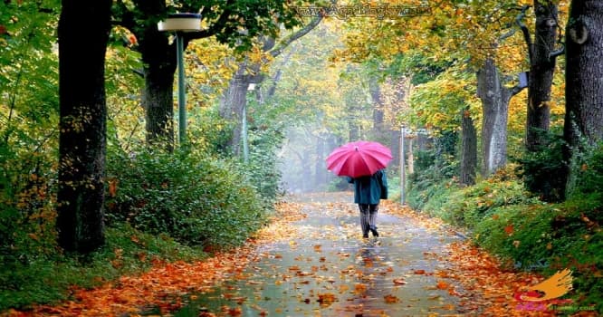 Sabah hava necə olacaq?