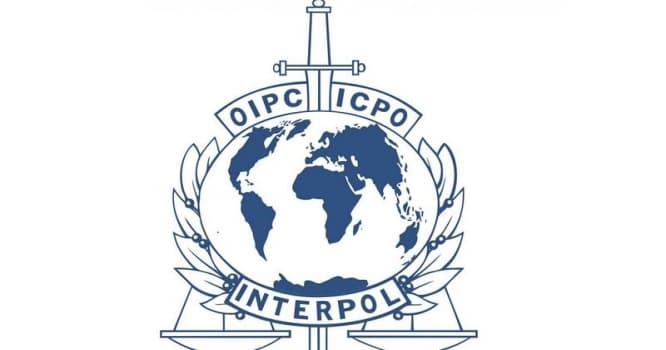 İnterpoldan Türkiyəyə dəstək