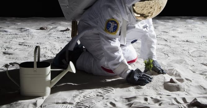 NASA bunu da etdi - FOTOLAR