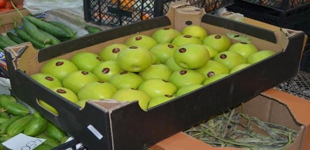 Azərbaycan almalarını daşıyan ermənilərə və gömrükçülərə cinayət işi qaldırıldı