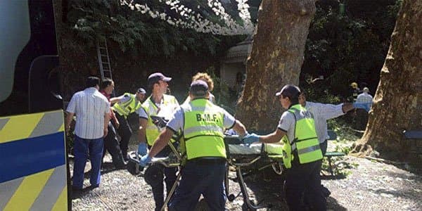 Portuqaliyada ağac insanların üzərinə aşıb: 12 ölü, 52 yaralı