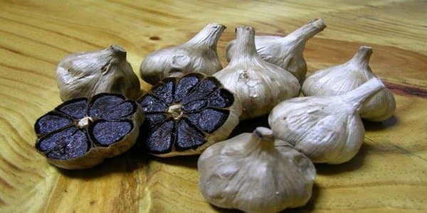 Xərçəngdən, infeksiyalardan qoruyan ən güclü vasitə
