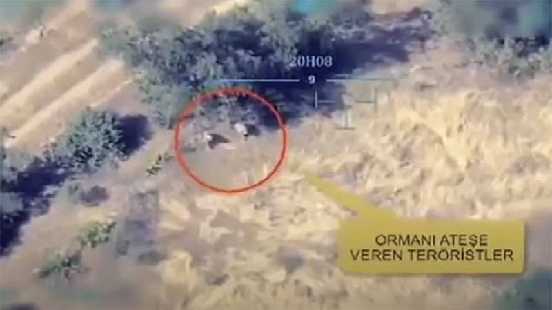 Türkiyədə meşələri belə yandırıblar (VİDEO)